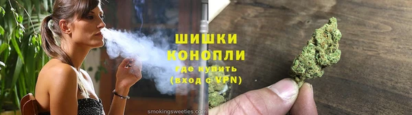 сатива Абинск