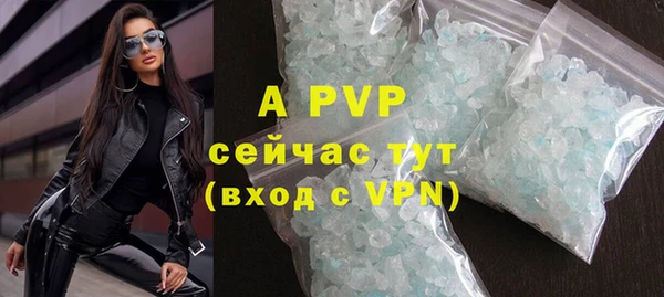 сатива Абинск